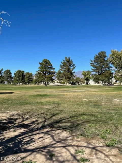 3161 Burning Tree, Pahrump, NV 89048