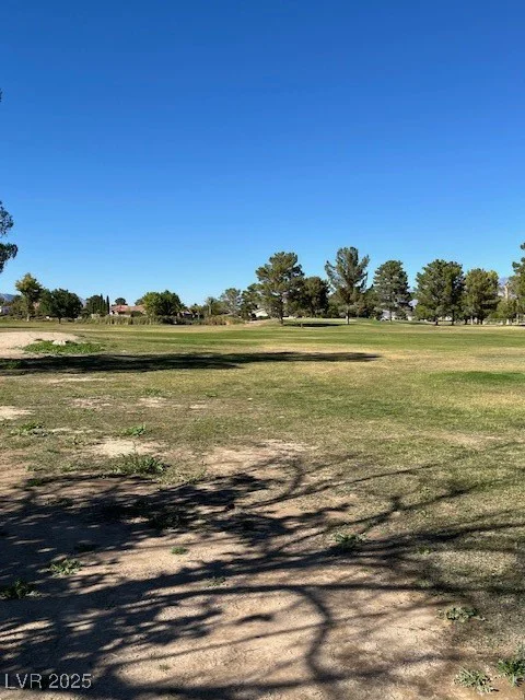3161 Burning Tree, Pahrump, NV 89048