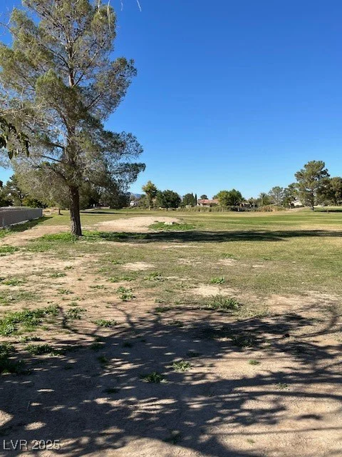 3161 Burning Tree, Pahrump, NV 89048