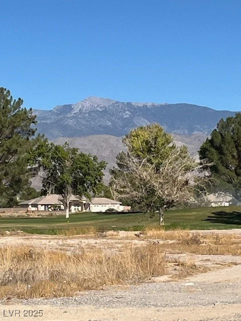3161 Burning Tree, Pahrump, NV 89048