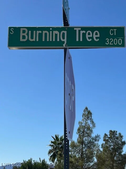 3161 Burning Tree, Pahrump, NV 89048