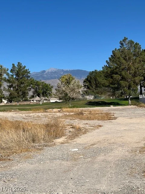 3161 Burning Tree, Pahrump, NV 89048