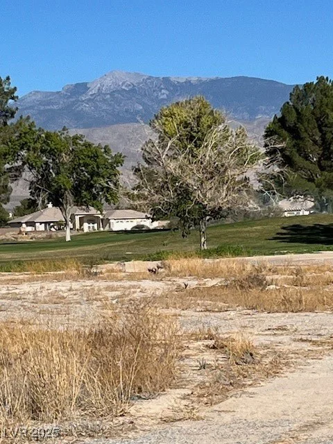 3161 Burning Tree, Pahrump, NV 89048