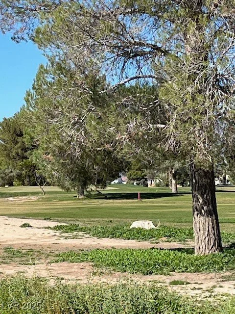 3161 Burning Tree, Pahrump, NV 89048