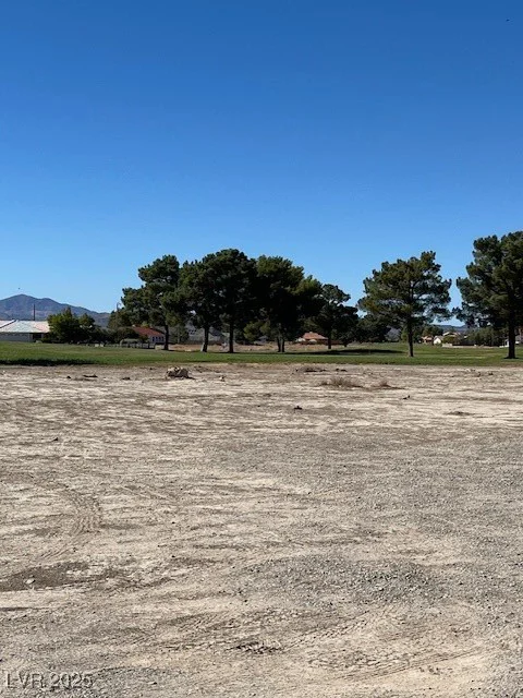 1990 Gato, Pahrump, NV 89048