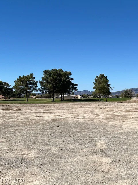 1990 Gato, Pahrump, NV 89048