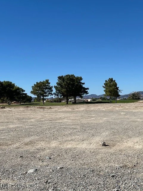 1990 Gato, Pahrump, NV 89048