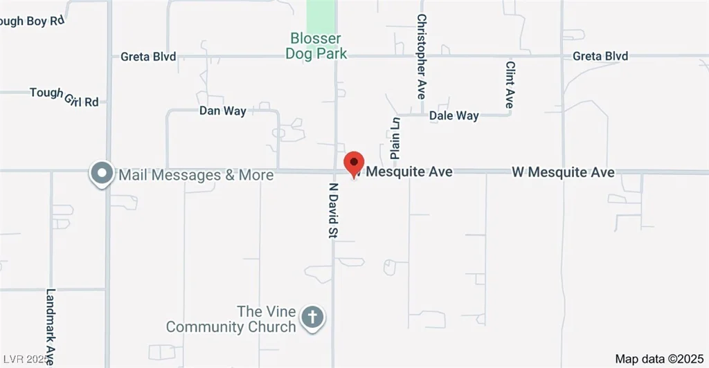 1981 David, Pahrump, NV 89060