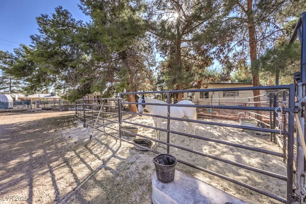 4216 Decatur, Las Vegas, NV 89130