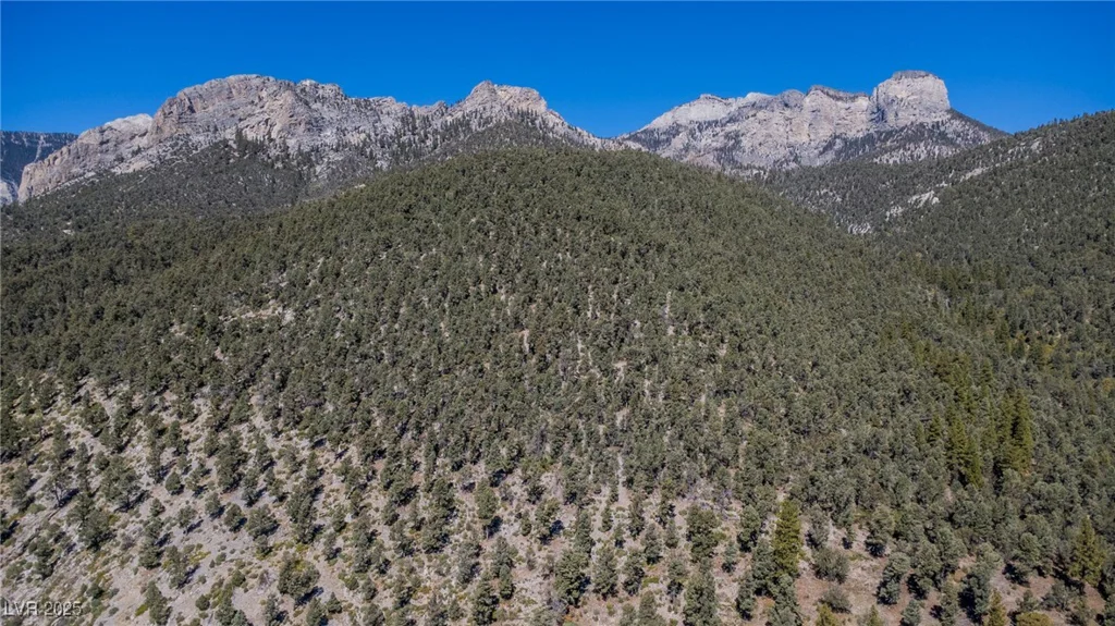 4063 Zugspitz, Mount Charleston, NV 89124