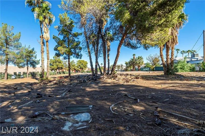 3515 Sunset, Las Vegas, NV 89120
