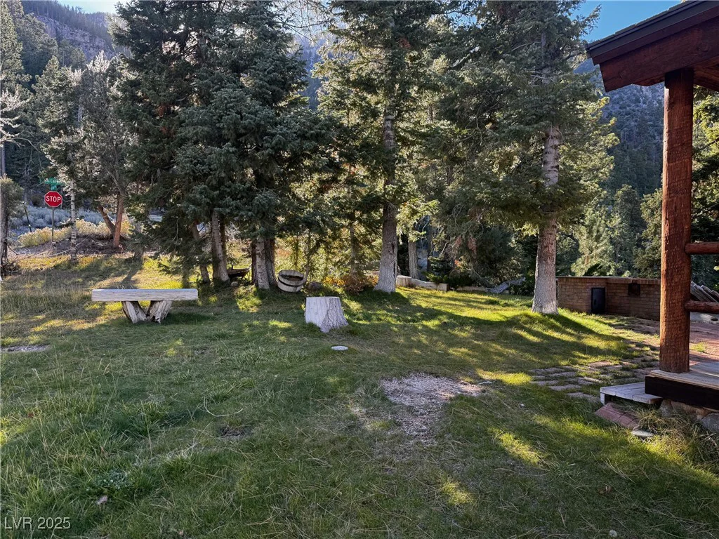 4834 Knotty Pine, Mount Charleston, NV 89124