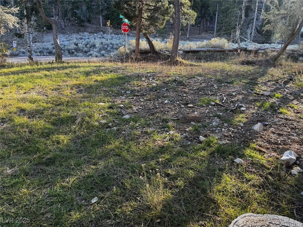4834 Knotty Pine, Mount Charleston, NV 89124