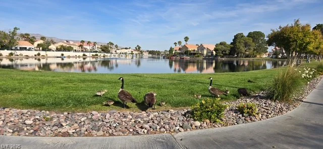 3125 Buffalo, Las Vegas, NV 89128