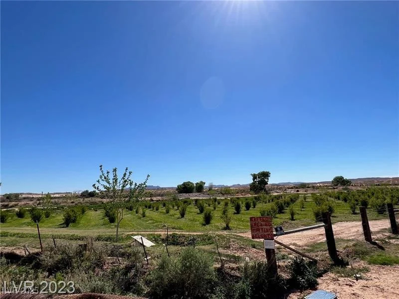 1065 Moapa Valley, Overton, NV 89040