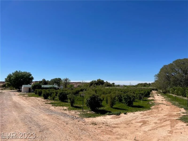 1065 Moapa Valley, Overton, NV 89040