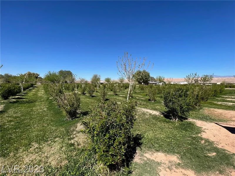 1065 Moapa Valley, Overton, NV 89040