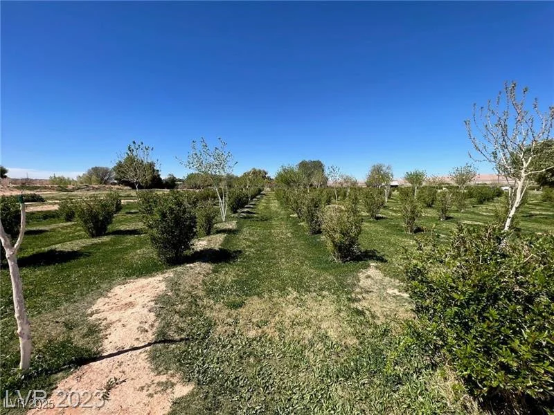 1065 Moapa Valley, Overton, NV 89040