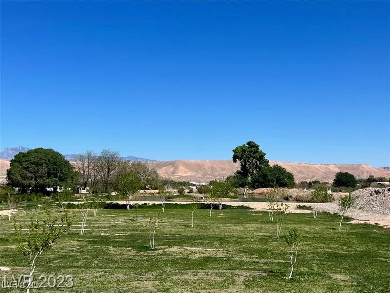 1065 Moapa Valley, Overton, NV 89040