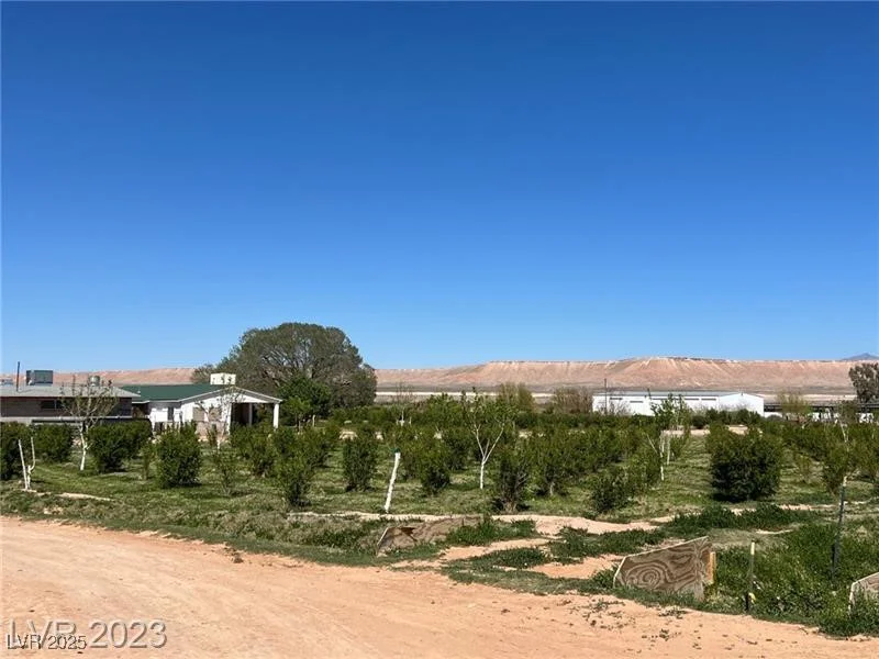 1065 Moapa Valley, Overton, NV 89040