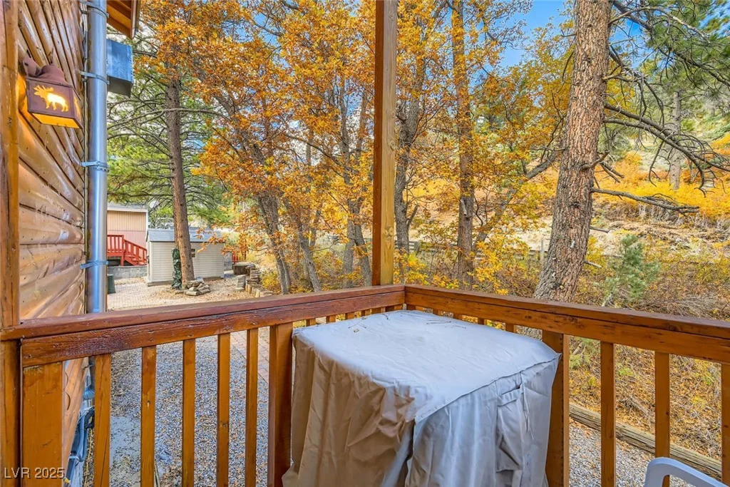 4458 Yellow Pine, Mount Charleston, NV 89124
