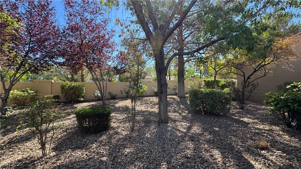 2202 Spring Water, Las Vegas, NV 89134