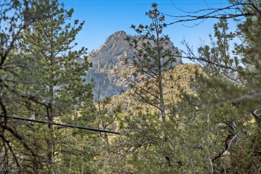 4101 Mont Blanc, Mount Charleston, NV 89124