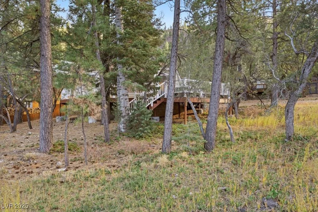4101 Mont Blanc, Mount Charleston, NV 89124