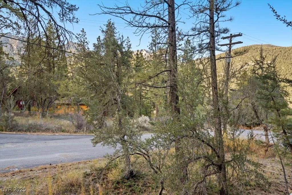 4101 Mont Blanc, Mount Charleston, NV 89124