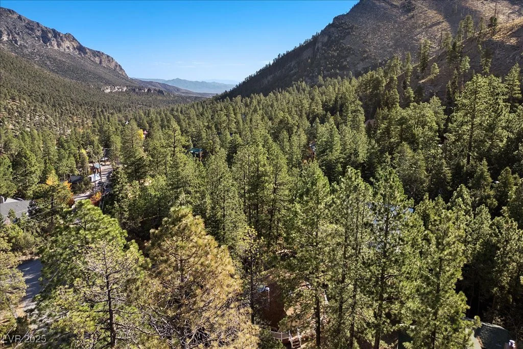 4101 Mont Blanc, Mount Charleston, NV 89124