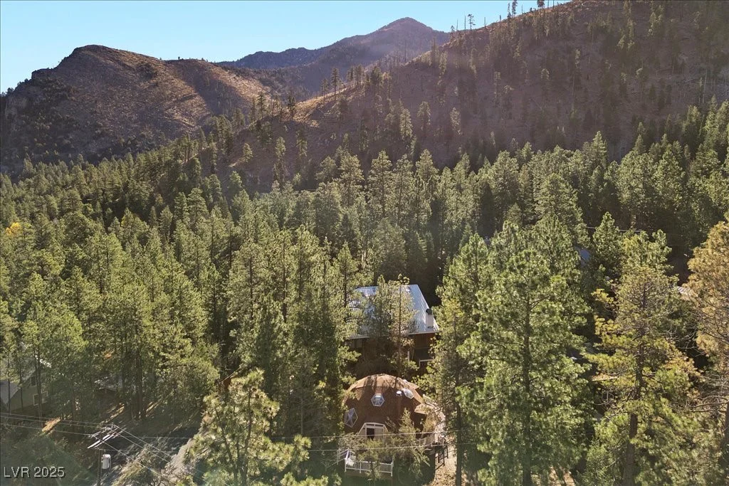 4101 Mont Blanc, Mount Charleston, NV 89124