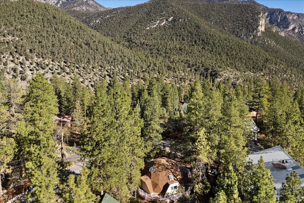 4101 Mont Blanc, Mount Charleston, NV 89124