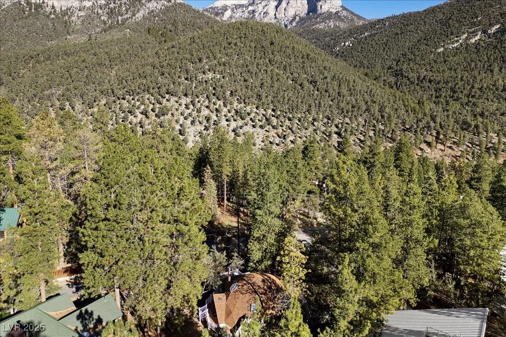 4101 Mont Blanc, Mount Charleston, NV 89124