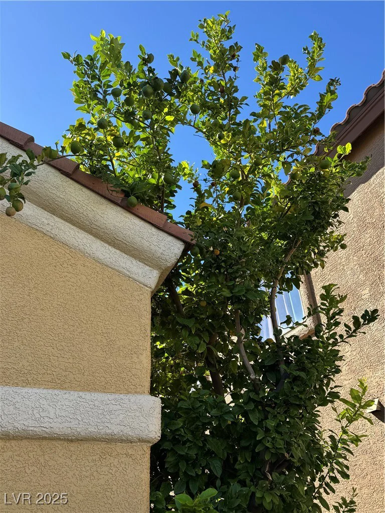 813 White Falcon, Las Vegas, NV 89144