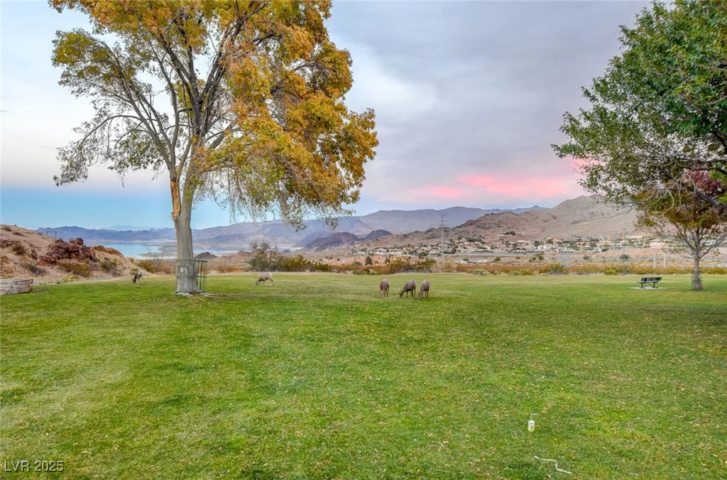 233 Big Horn, Boulder City, NV 89005