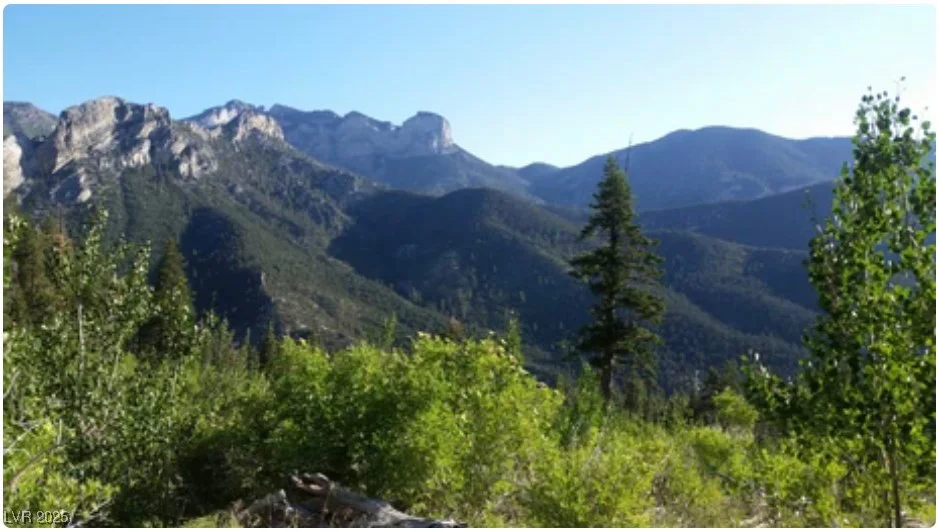 4096 Tyrol, Mount Charleston, NV 89124