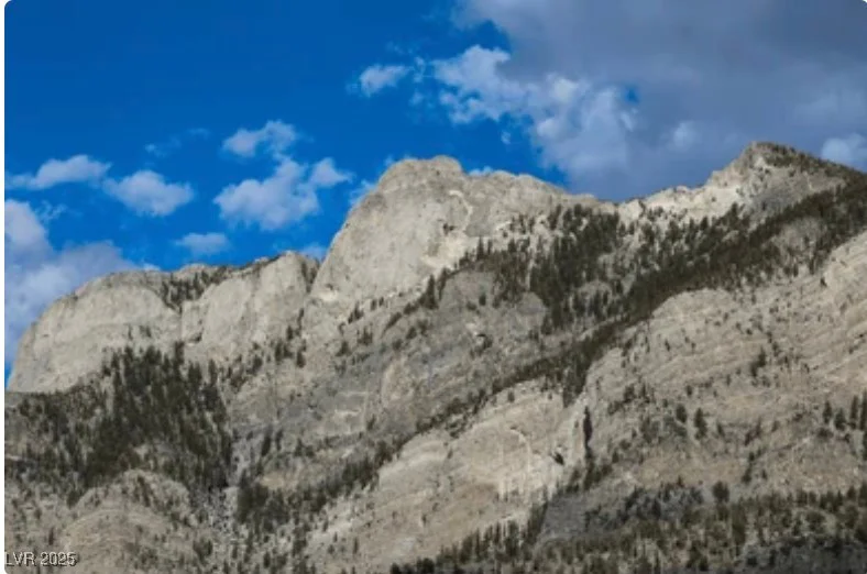 4096 Tyrol, Mount Charleston, NV 89124
