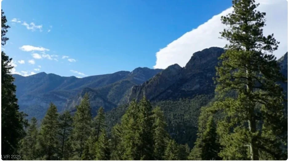 4096 Tyrol, Mount Charleston, NV 89124
