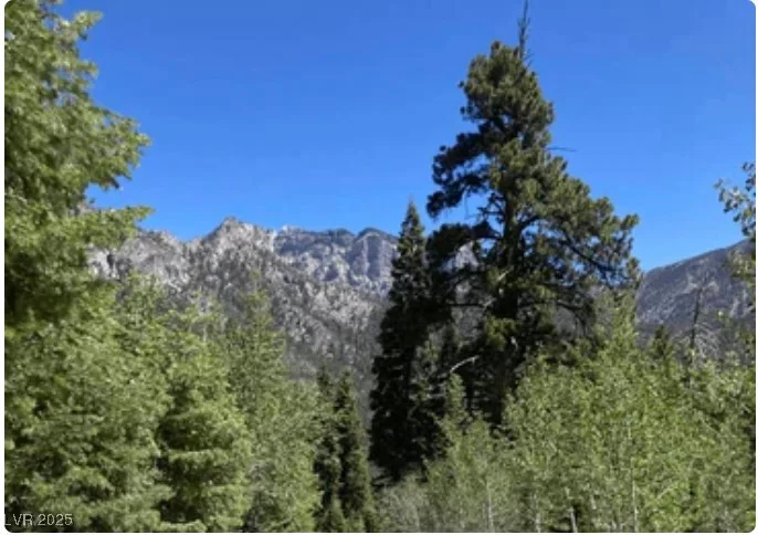 4096 Tyrol, Mount Charleston, NV 89124