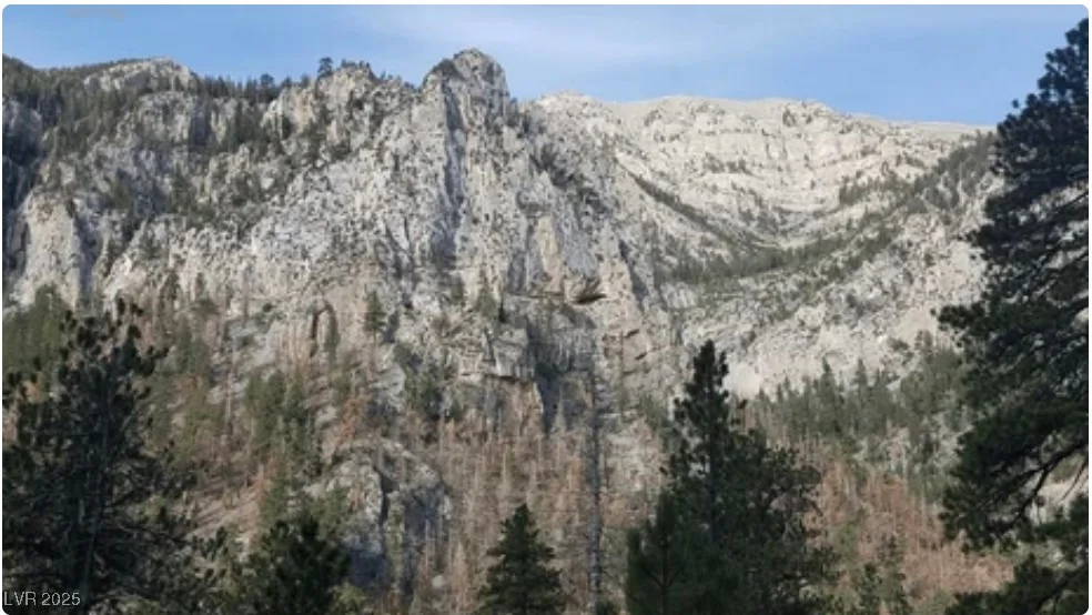 4096 Tyrol, Mount Charleston, NV 89124
