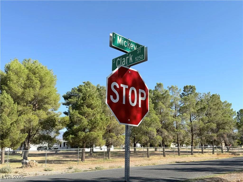 1230 Mickey, Pahrump, NV 89048