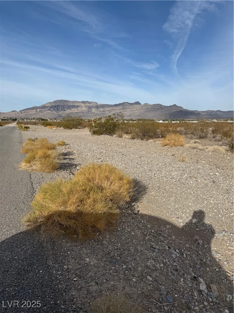 2660 Latigo, Pahrump, NV 89060
