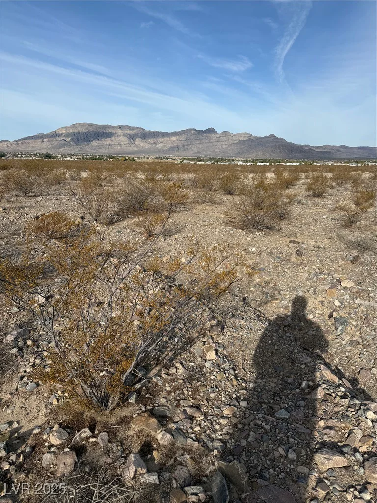 2660 Latigo, Pahrump, NV 89060