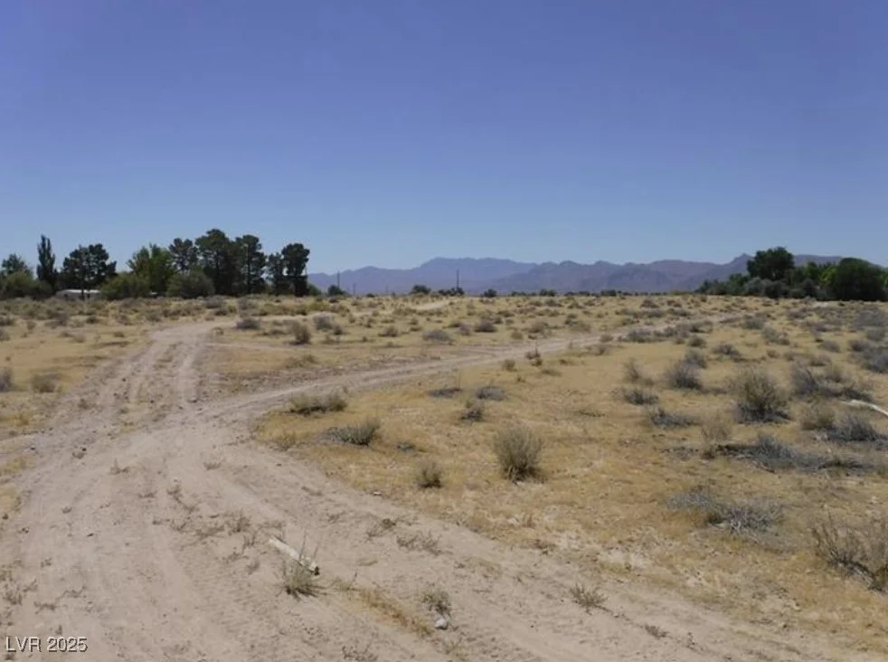 W Norite Ave, Sandy Valley, NV 89019
