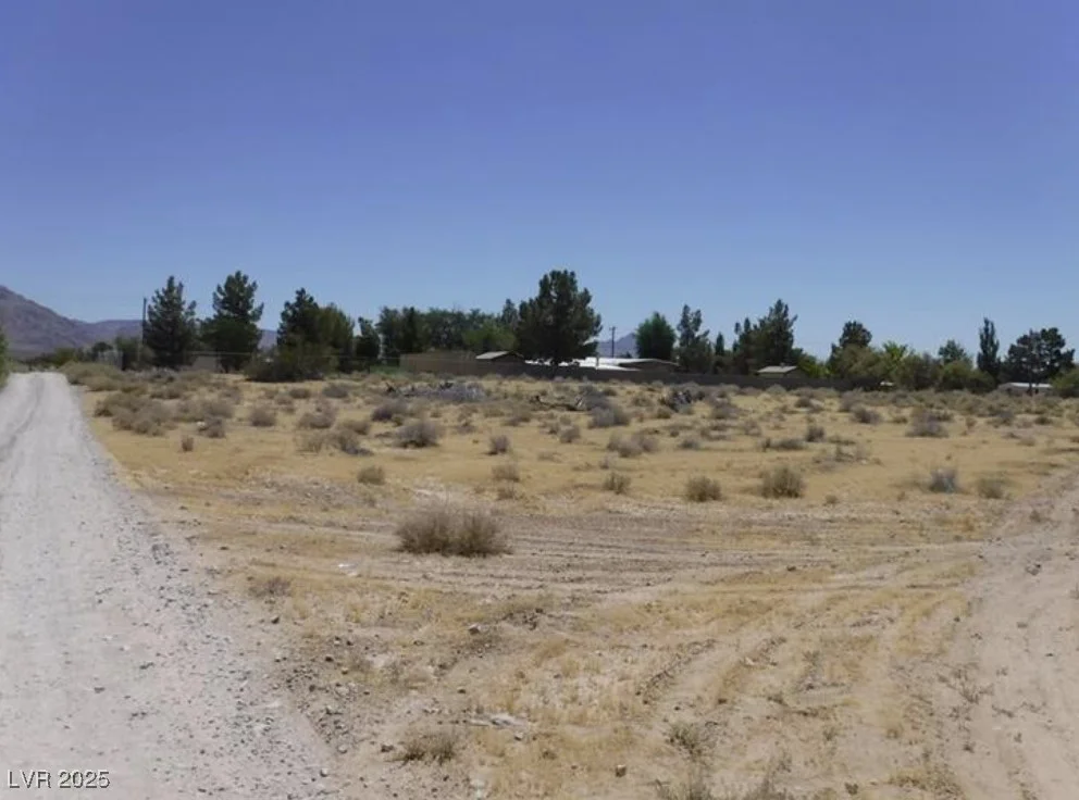 Obsidian Avenue, Sandy Valley, NV 89019