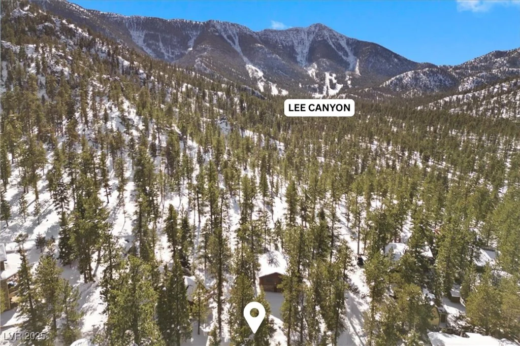 2130 Via Vita, Mount Charleston, NV 89124