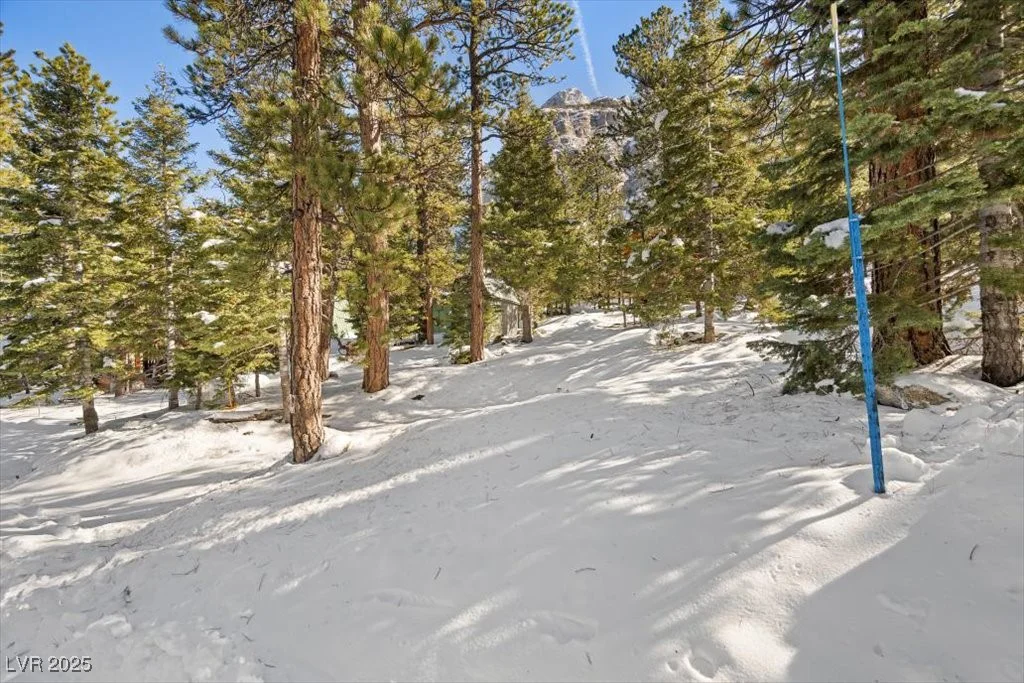 2130 Via Vita, Mount Charleston, NV 89124