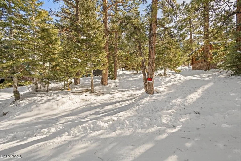 2130 Via Vita, Mount Charleston, NV 89124