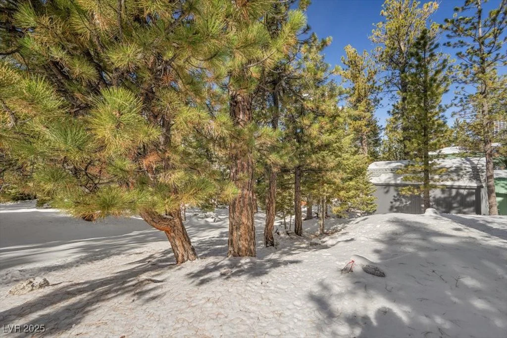 2130 Via Vita, Mount Charleston, NV 89124