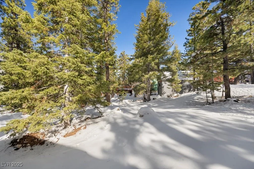 2130 Via Vita, Mount Charleston, NV 89124